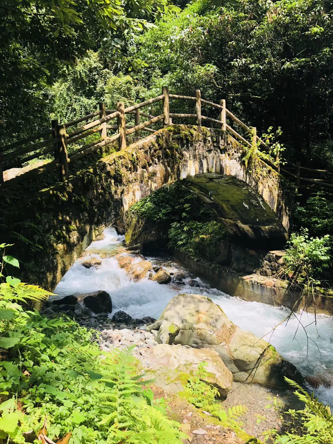 84岁曾江步履蹒跚身体堪忧,幸得太太不离不弃悉心照顾!